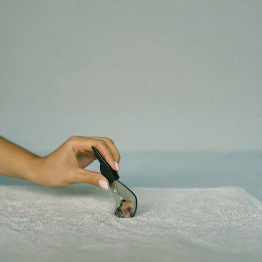 A dog's paw having its nails clipped
